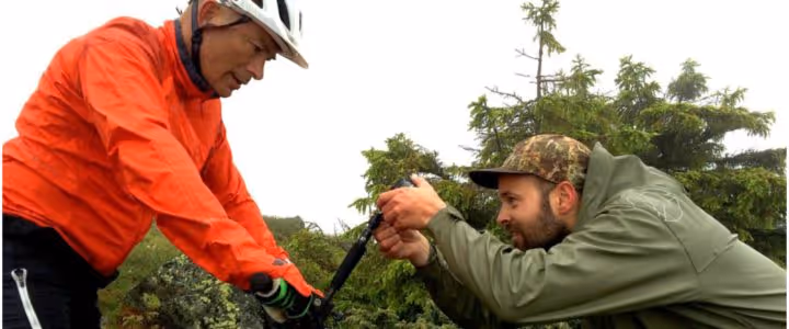 Film, litteratur, musikk og kunst