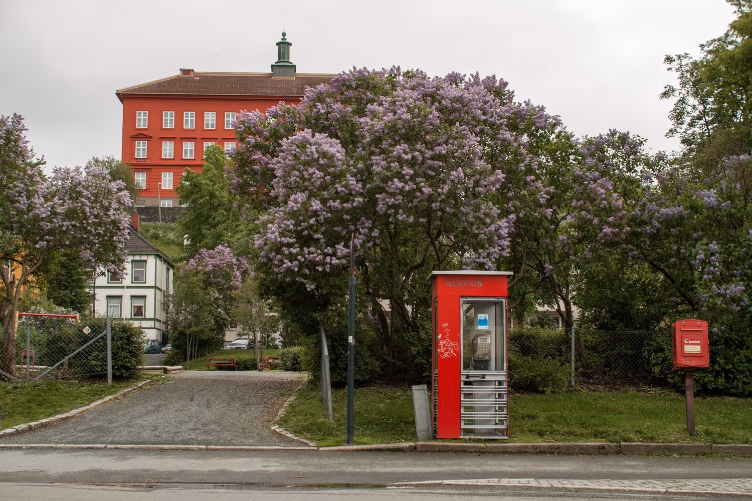 Åpning av lesekiosk i Thornæsparken!