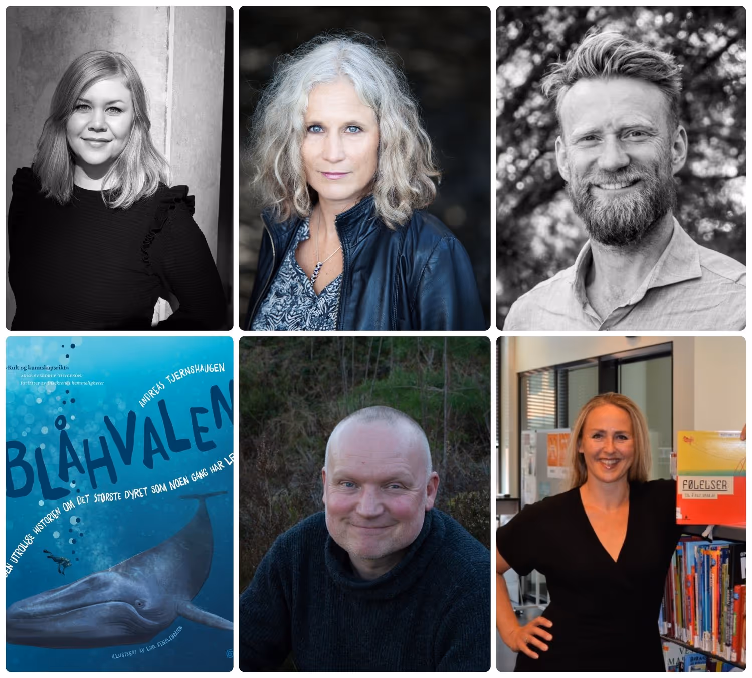 Idéseminar for medlemmer