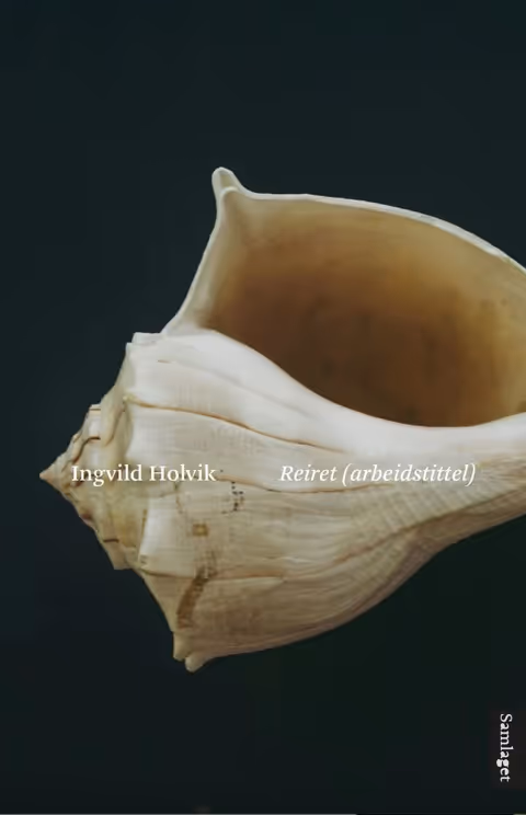 Omslaget til vinnerboka