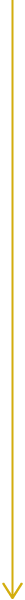 Arrow Down