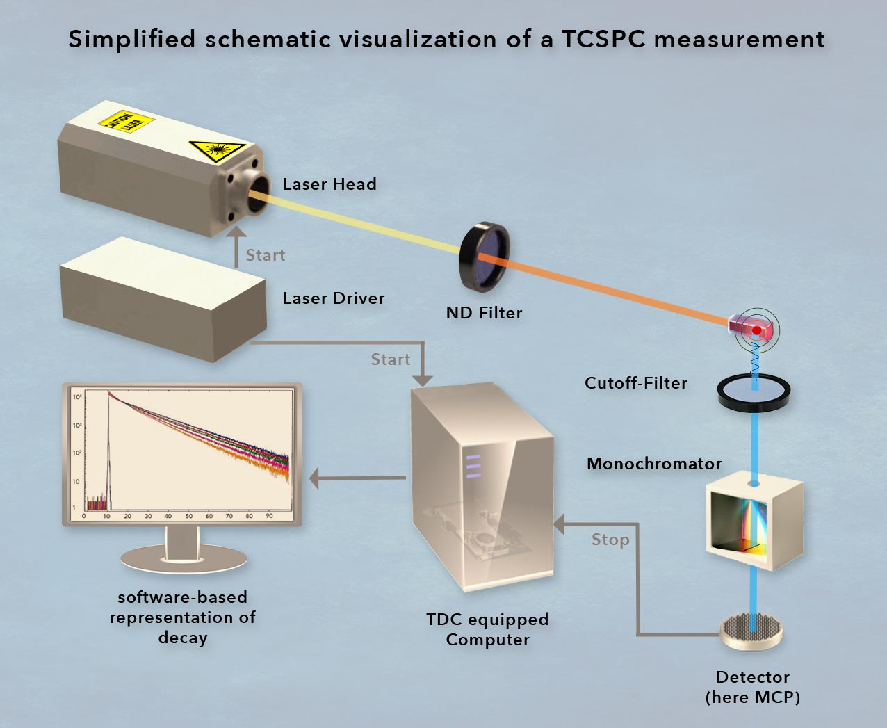 Scheme of a TCSPC decay measurement 