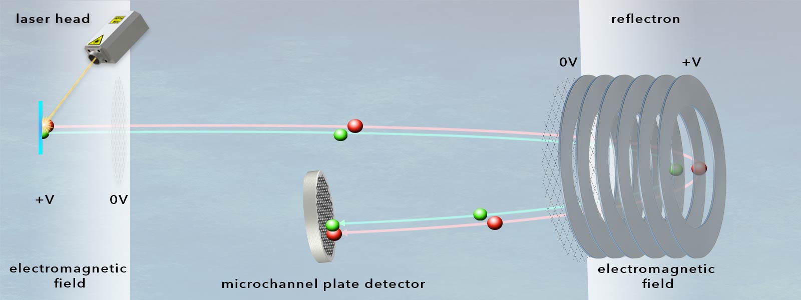 See graphic: A reflectron reverses the direction of the ions by creating an electric field with a gradient. This reduces the influence of the ions’ kinetic energy distribution on the flight time. A single-stage reflectron uses a homogeneous field and can compensate for small energy fluctuations. By using an ion mirror, a higher energy ion (red) travels a longer distance but arrives at the detector at the same time as the ion of lower energy with the same mass (green).