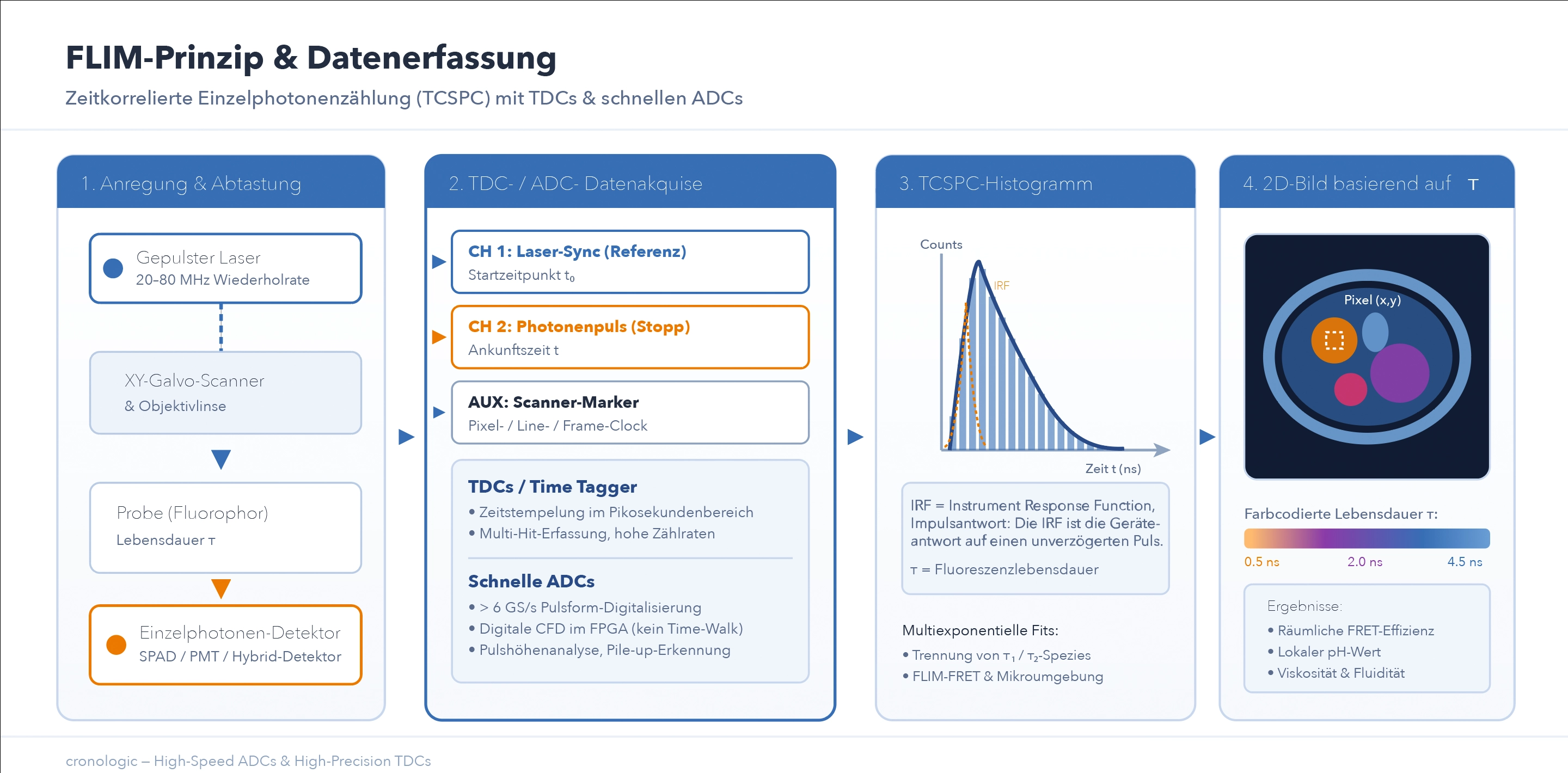 Funktionsprinzip der Fluoreszenzlebensdauer-Mikroskopie (FLIM) mit TCSPC-Datenerfassung über TDC und ADC