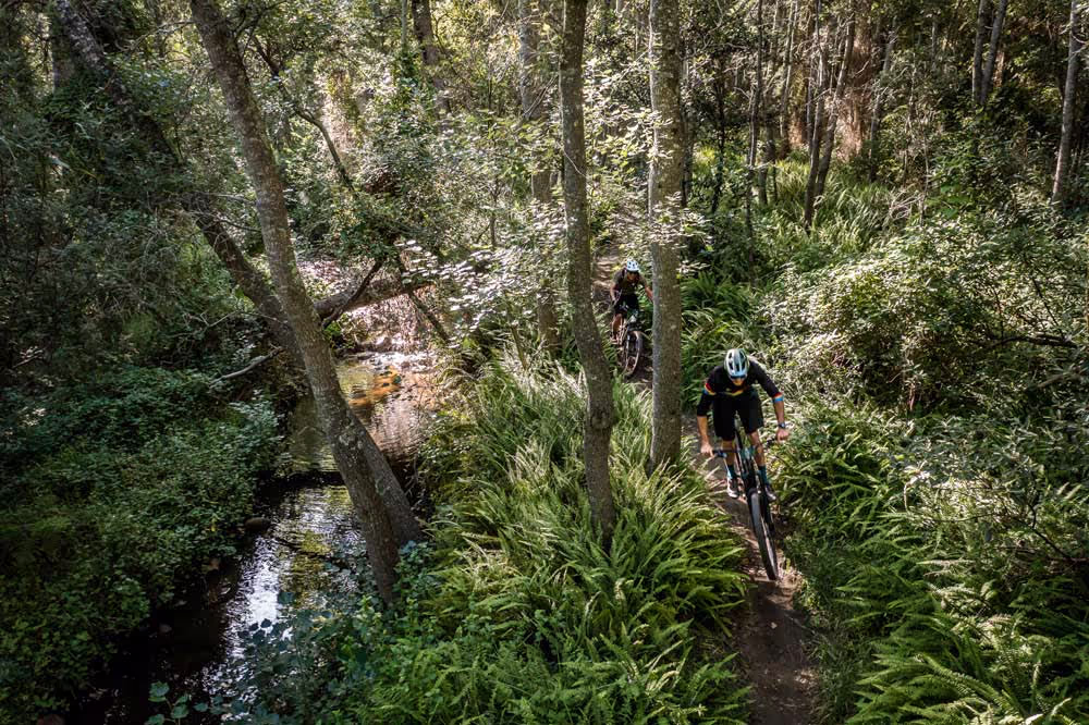 Mountain bikers ride narrow trail through lush forest with small stream