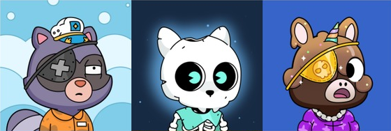 Welcome to Cozy Reef