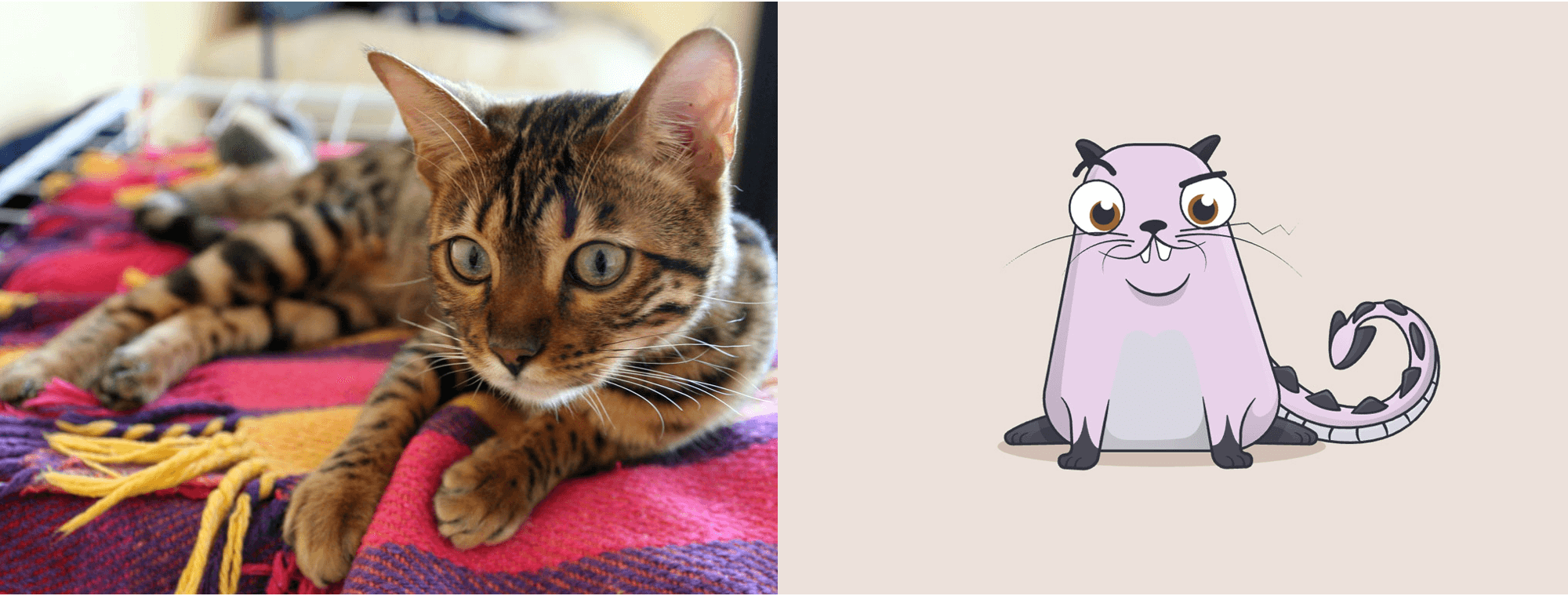 Bengal cat: ~$41,000 vs. Dragon, the CryptoKitty, ~$172,000 ‌‌(Sources: Wikimedia,Cryptokitties)