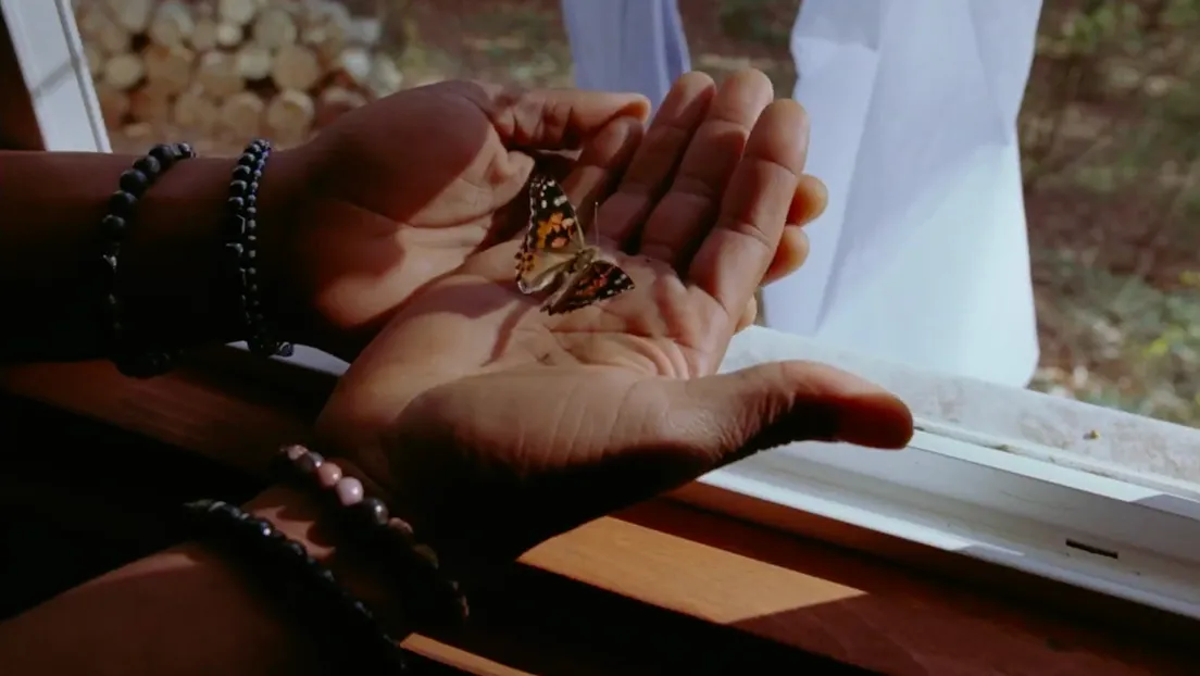 Category Image