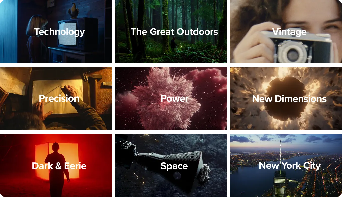 Curated Collections
