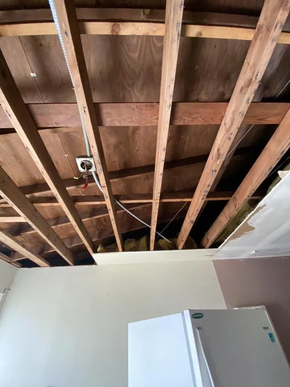 damaged wood from water