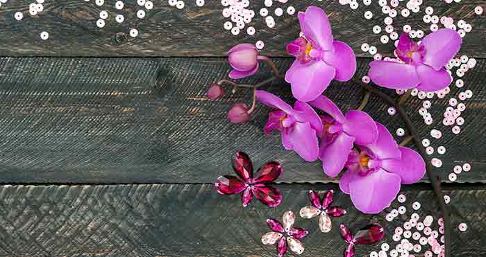 How To Import Flowers Into Canada In 7 Steps