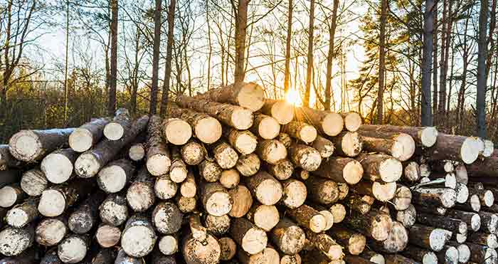 US Softwood Lumber Assessment Fee Increasing on April 1st, 2021