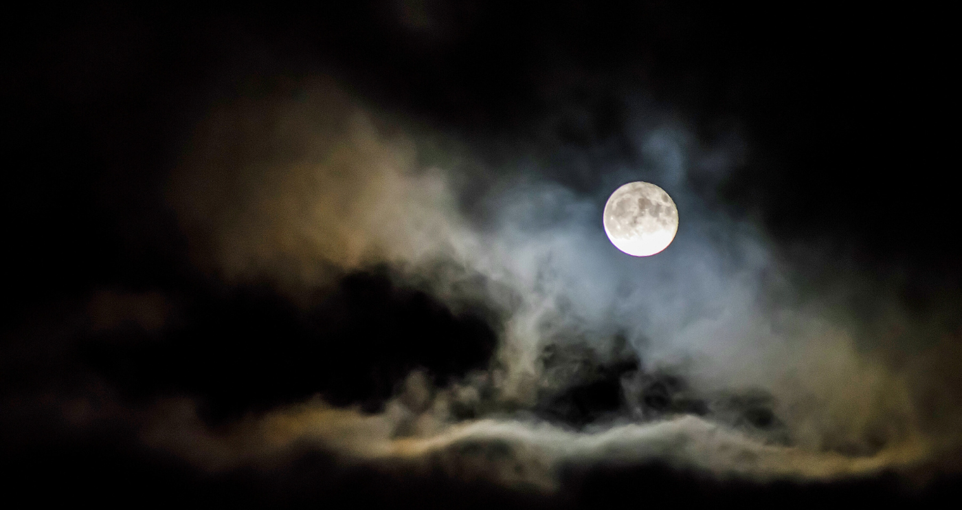 An Import Horror Story