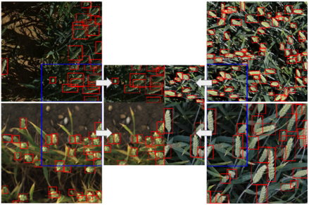 custom_mosaic_augmentation.png