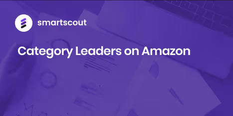 Category Leaders on Amazon