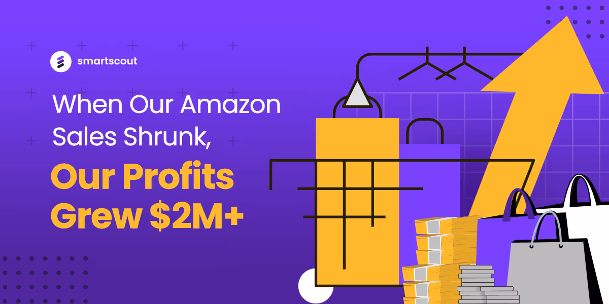 When Our Amazon Sales Shrunk, Our Profits Grew $2M+