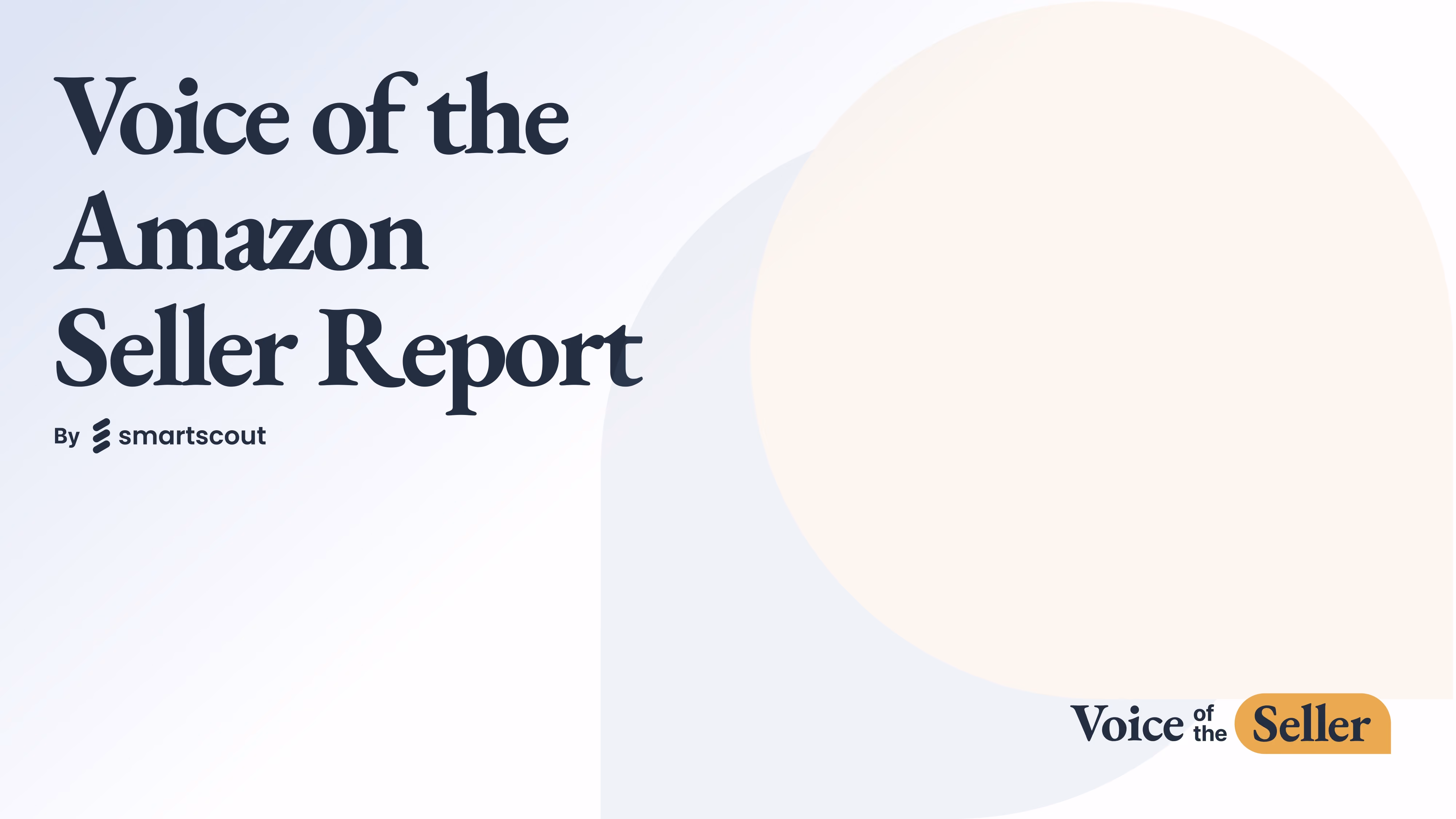 Voice of the  Amazon  Seller Report