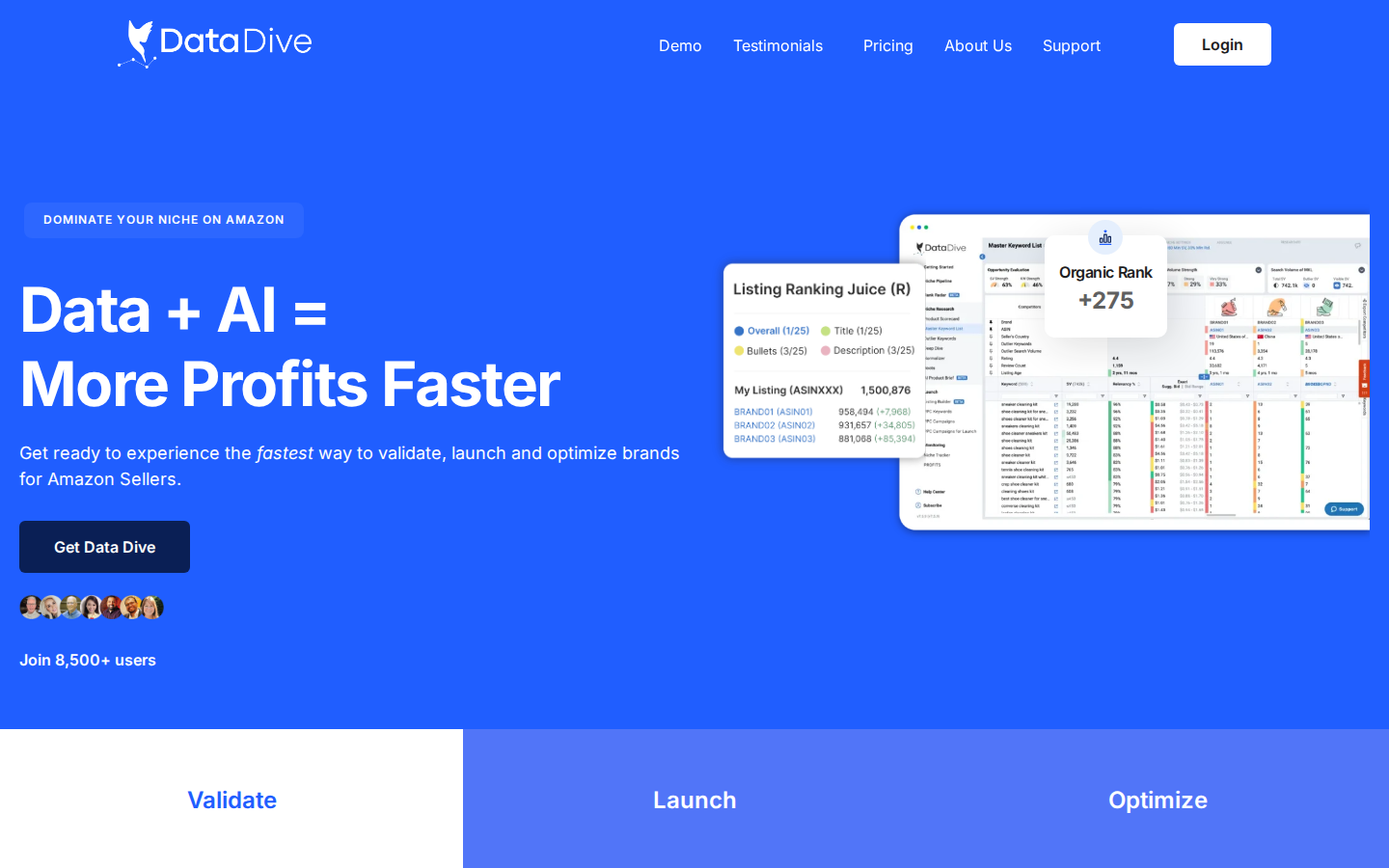 Data Dive Homepage