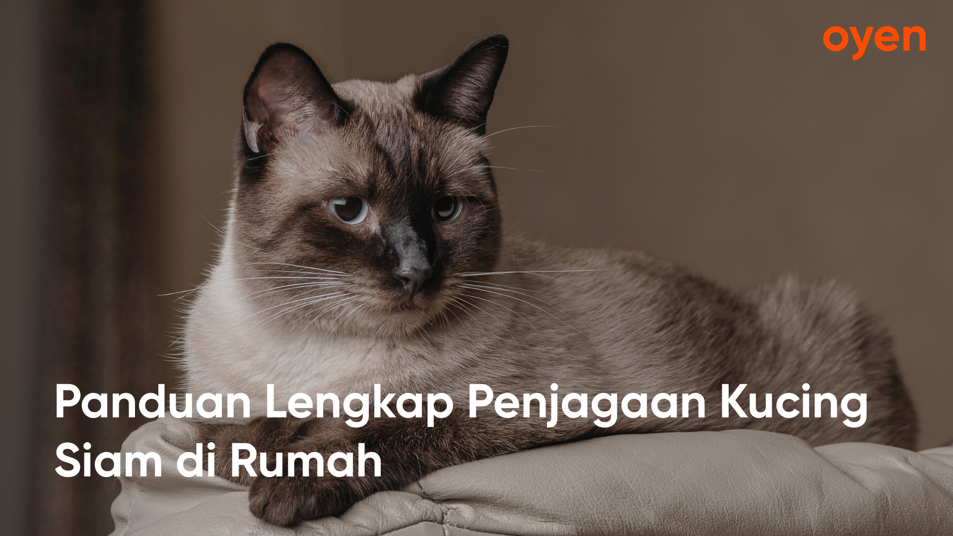 Oyen blog posts 