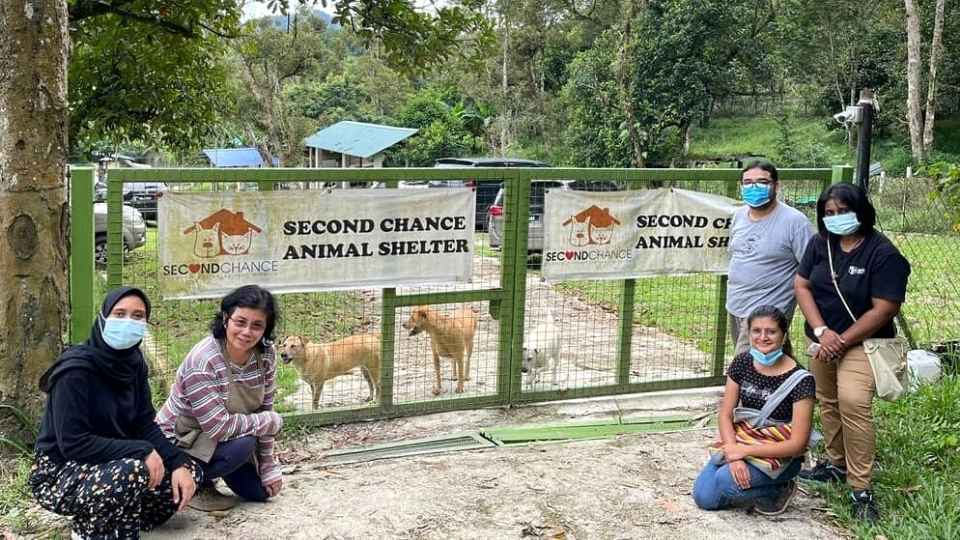 Oyen pet insurance Malaysia