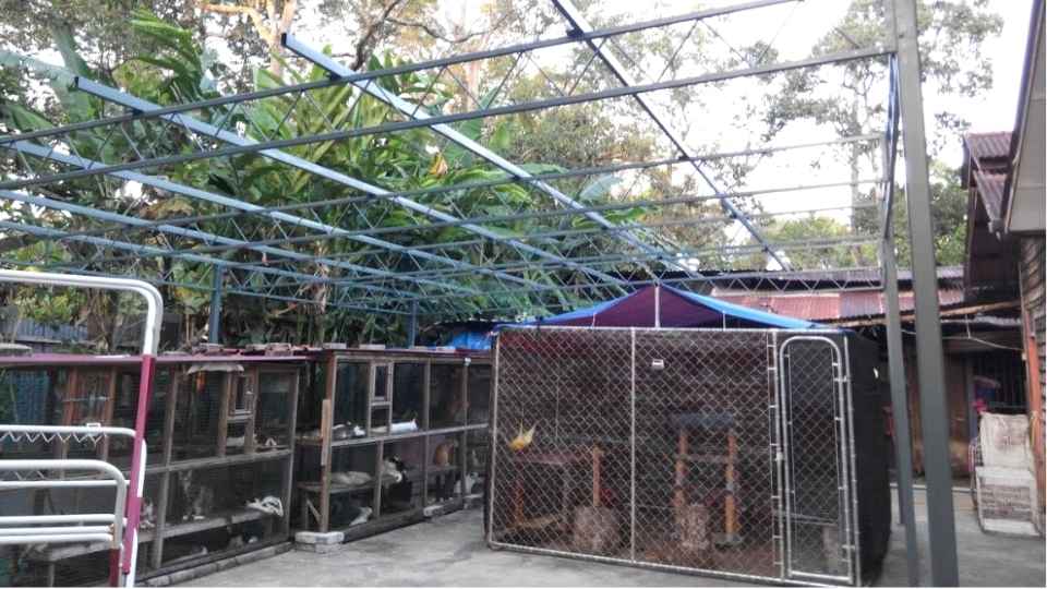 cat health care Malaysia