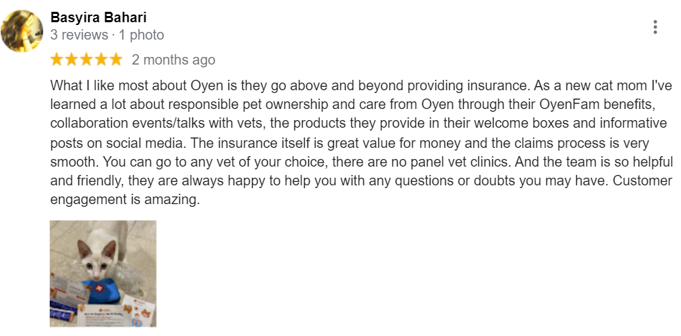 air purifier pet owners