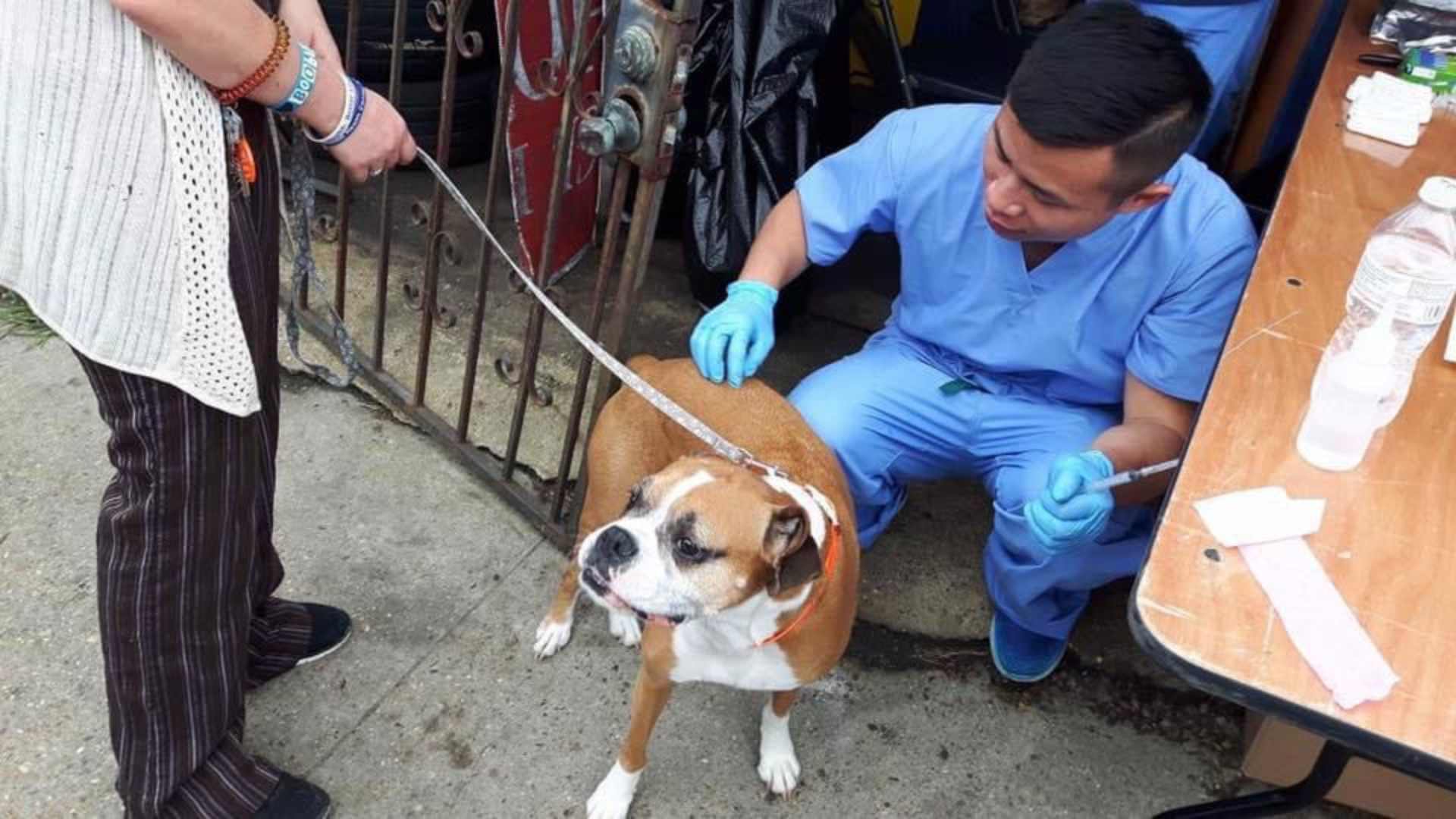 Oyen interviews Dr Calvin: VPAC Kuchai Lama 