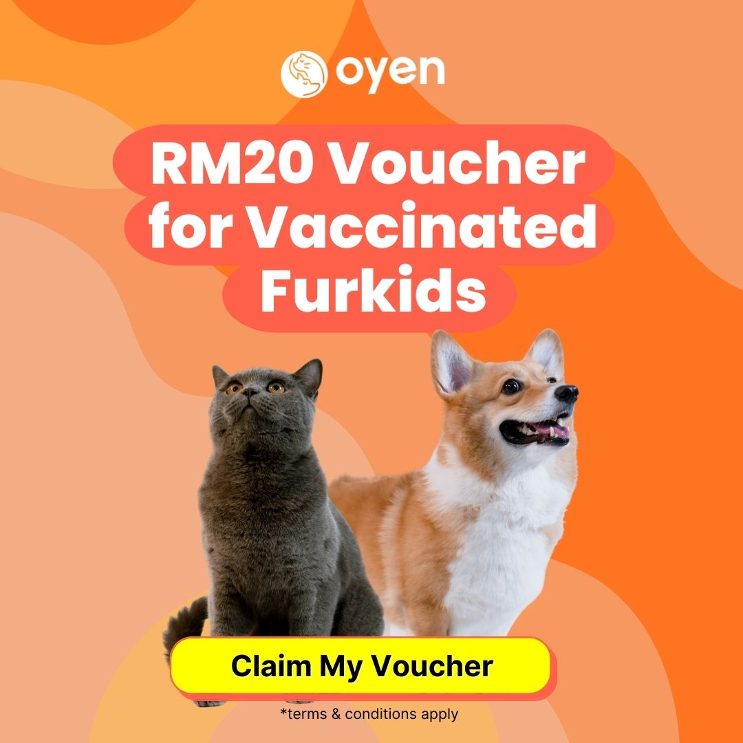 oyen vaccinate pet promo