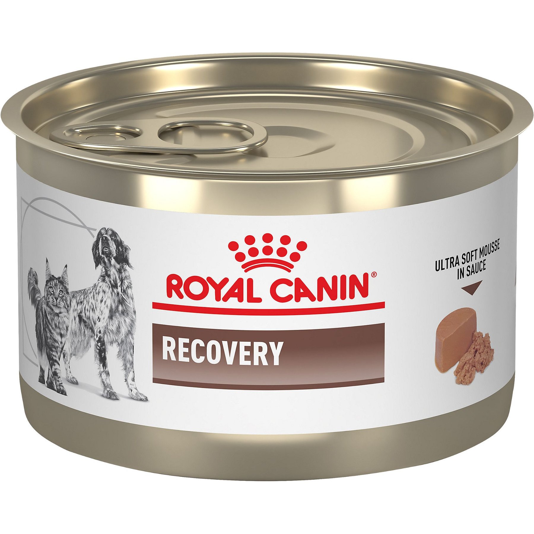 ROYAL CANIN VETERINARY DIET Recovery Ultra Soft Mousse in Sauce Wet Dog & Cat Food, 5.1-oz, case of 24 - Chewy.com