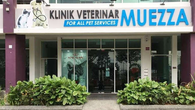 Klinik Veterinar Muezza