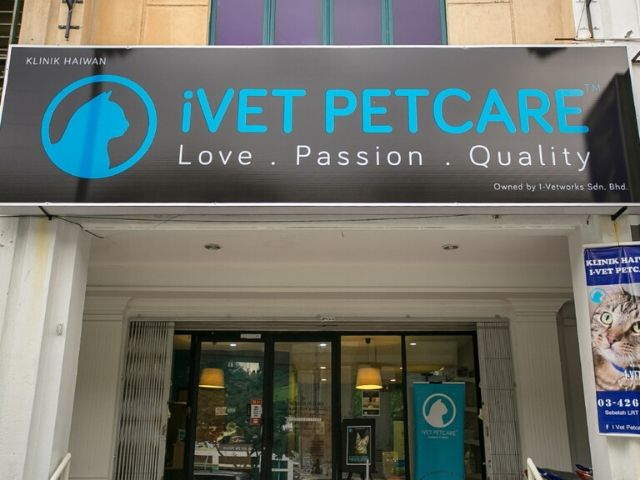 iVet Petcare