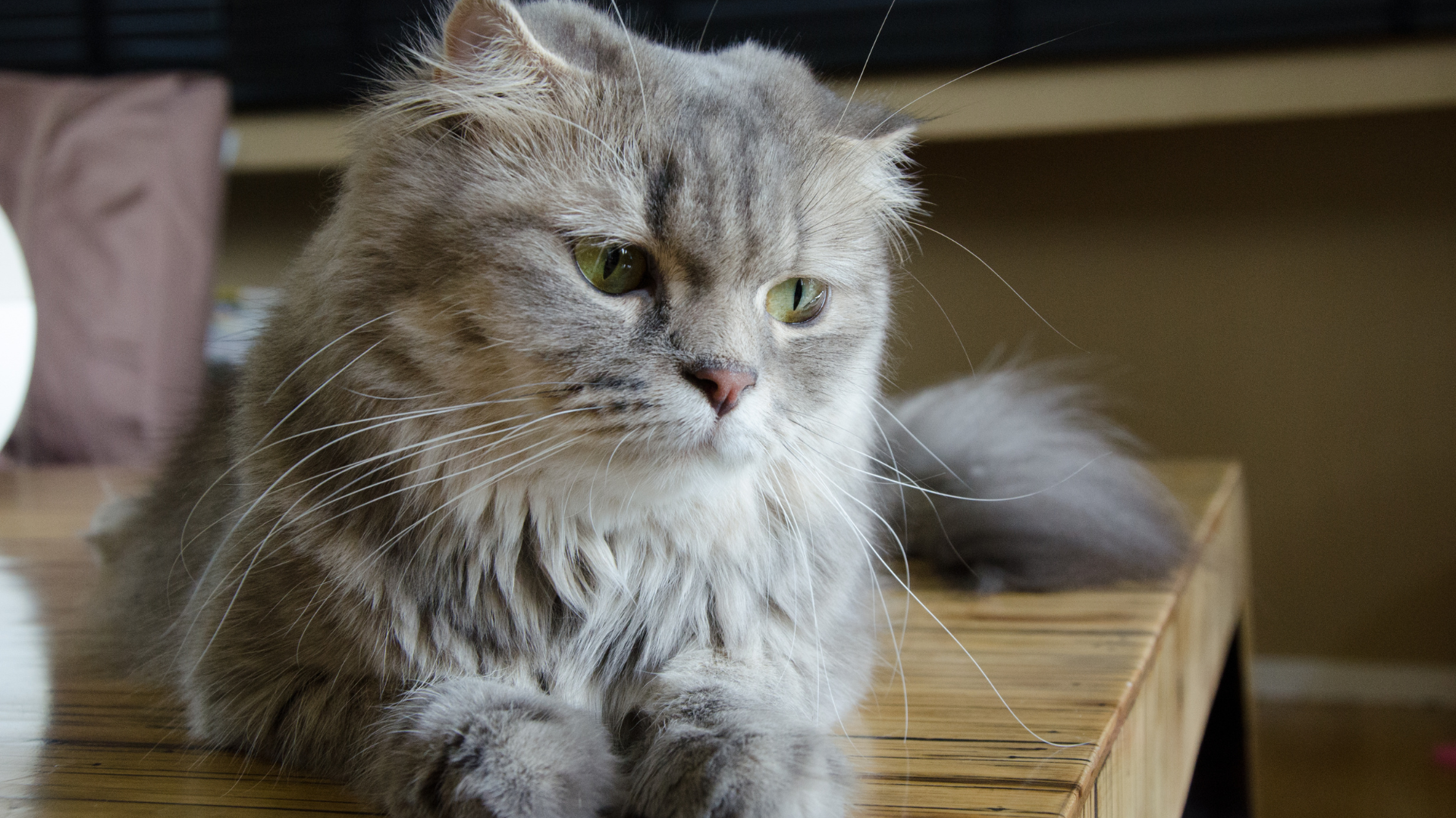 __wf_reserved_inherit