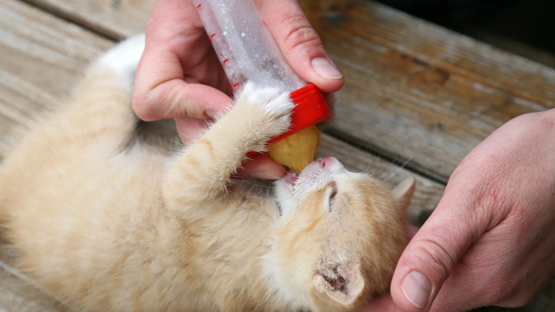 Oyen blog posts 