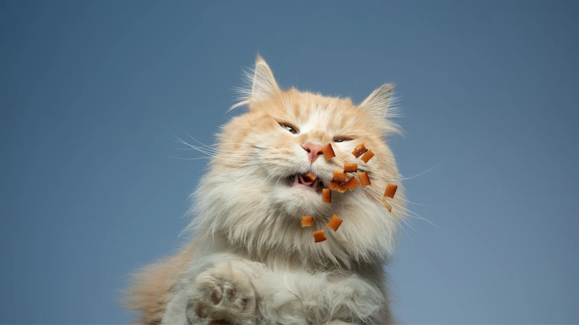 Oyen blog posts 