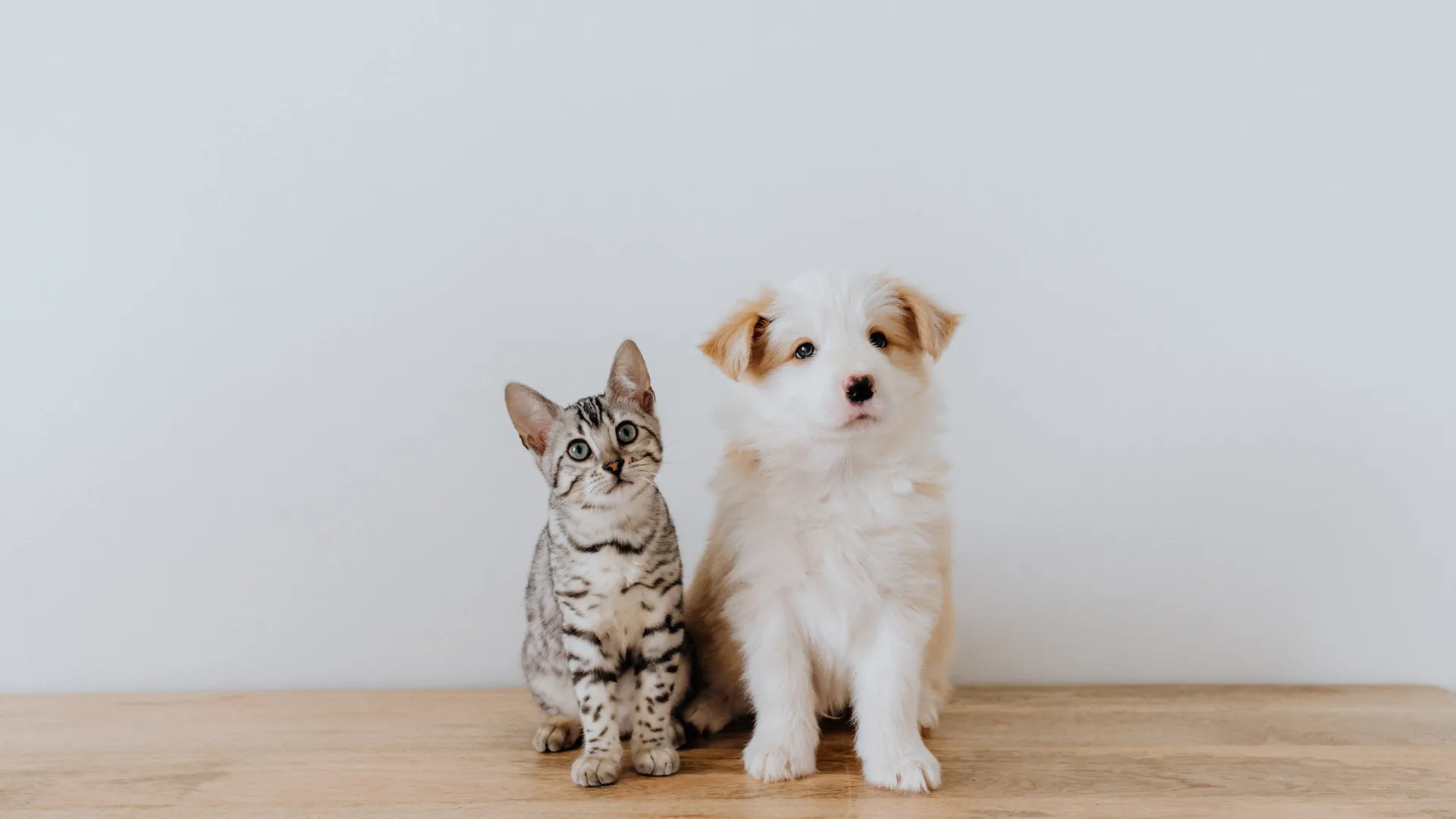 Oyen blog posts 