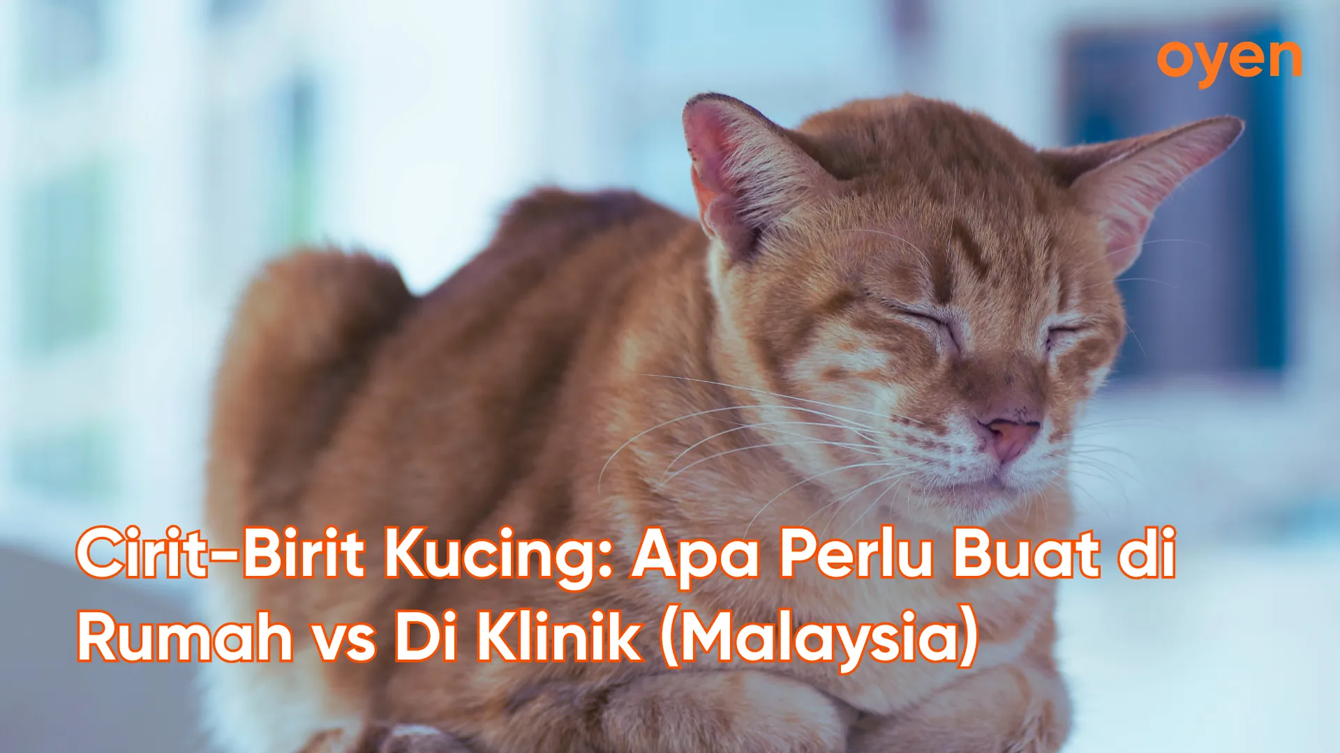 Oyen blog posts 
