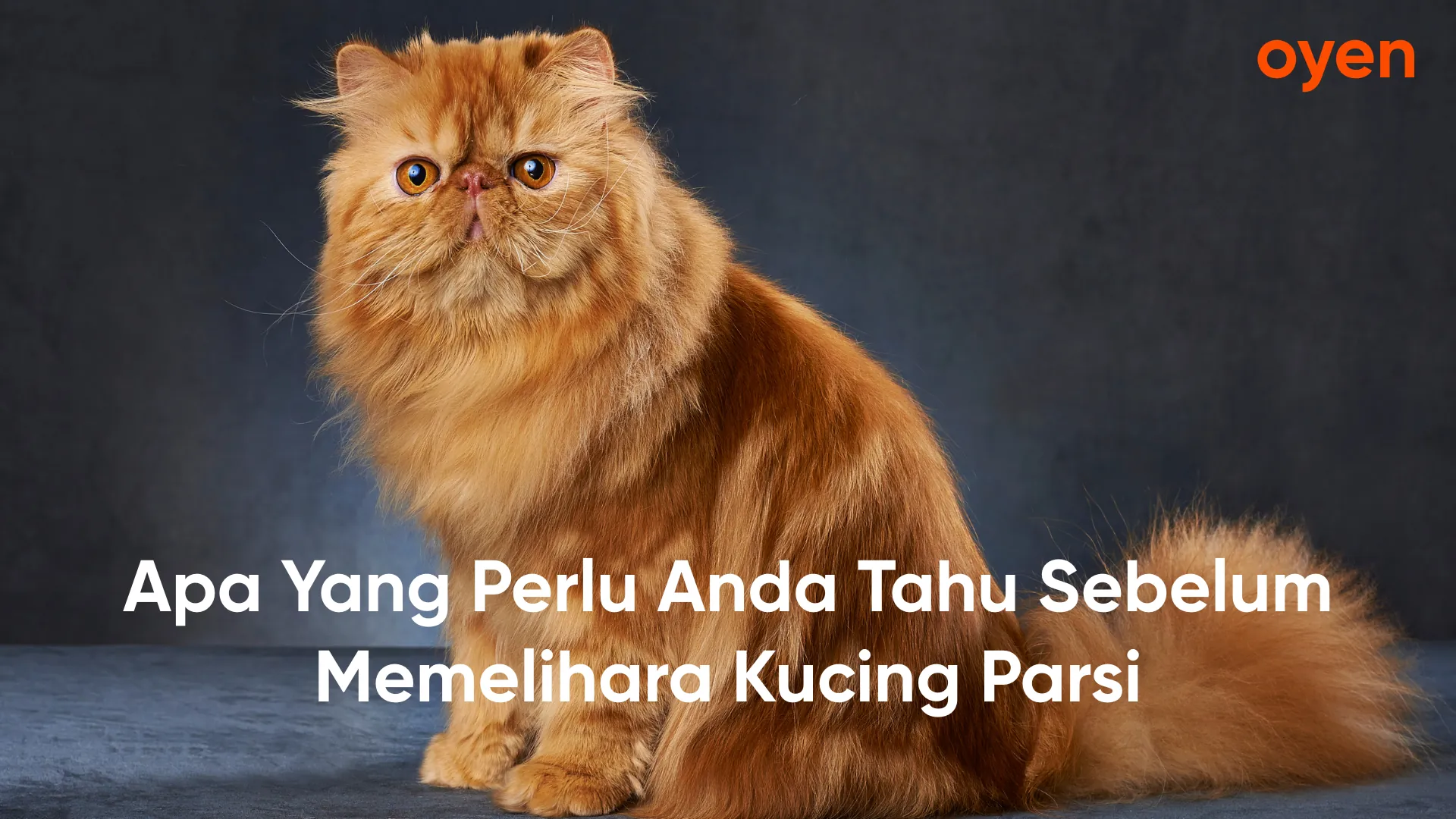 Oyen blog posts 