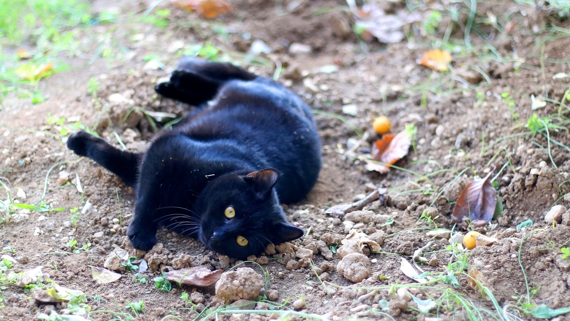 Oyen blog posts 