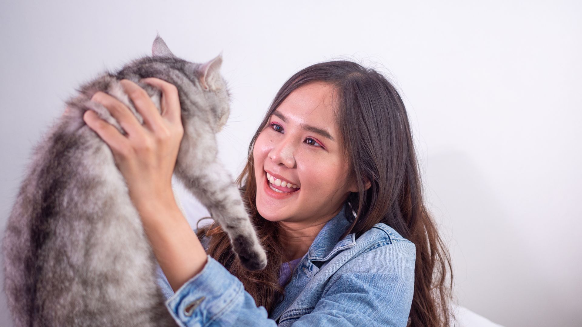 Oyen blog posts 