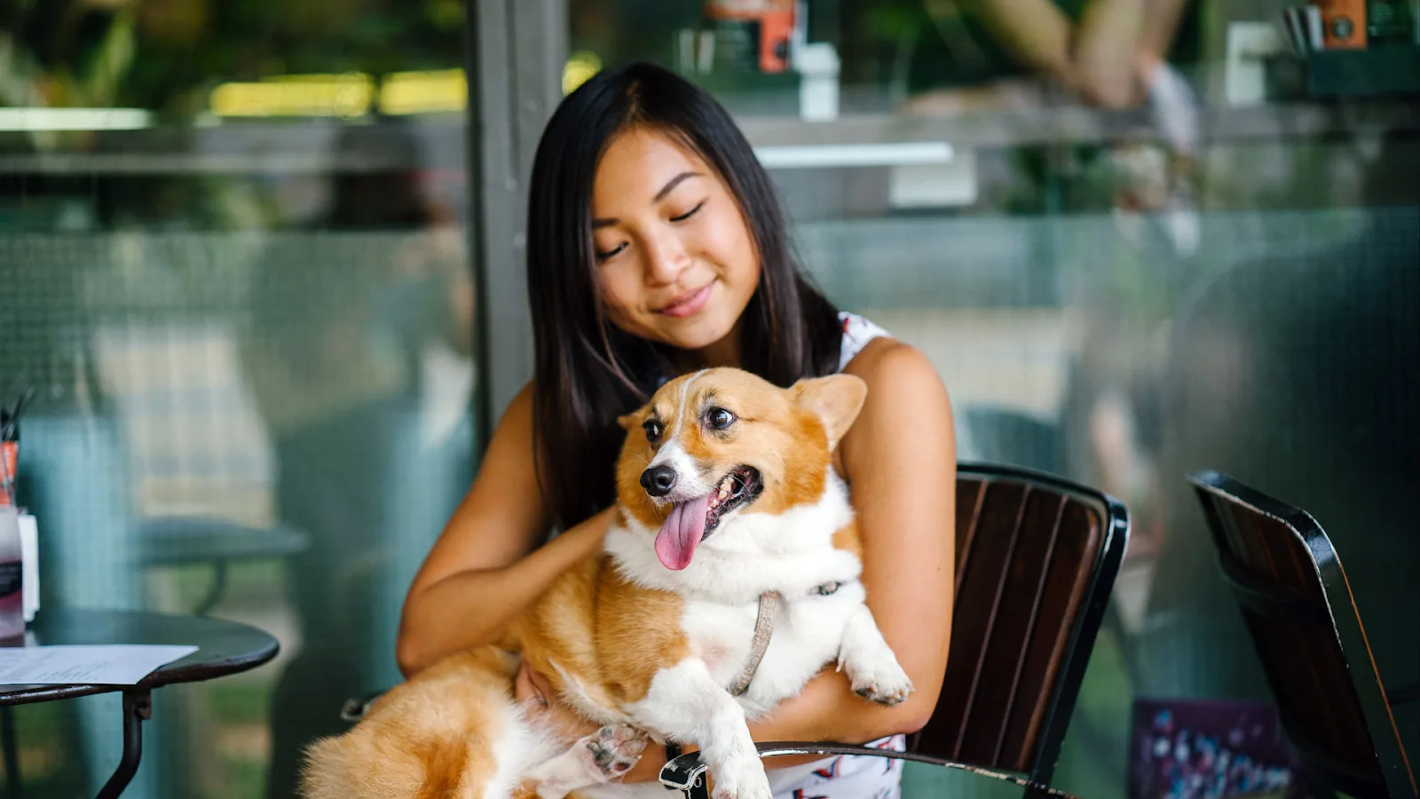 pet care information Malaysia