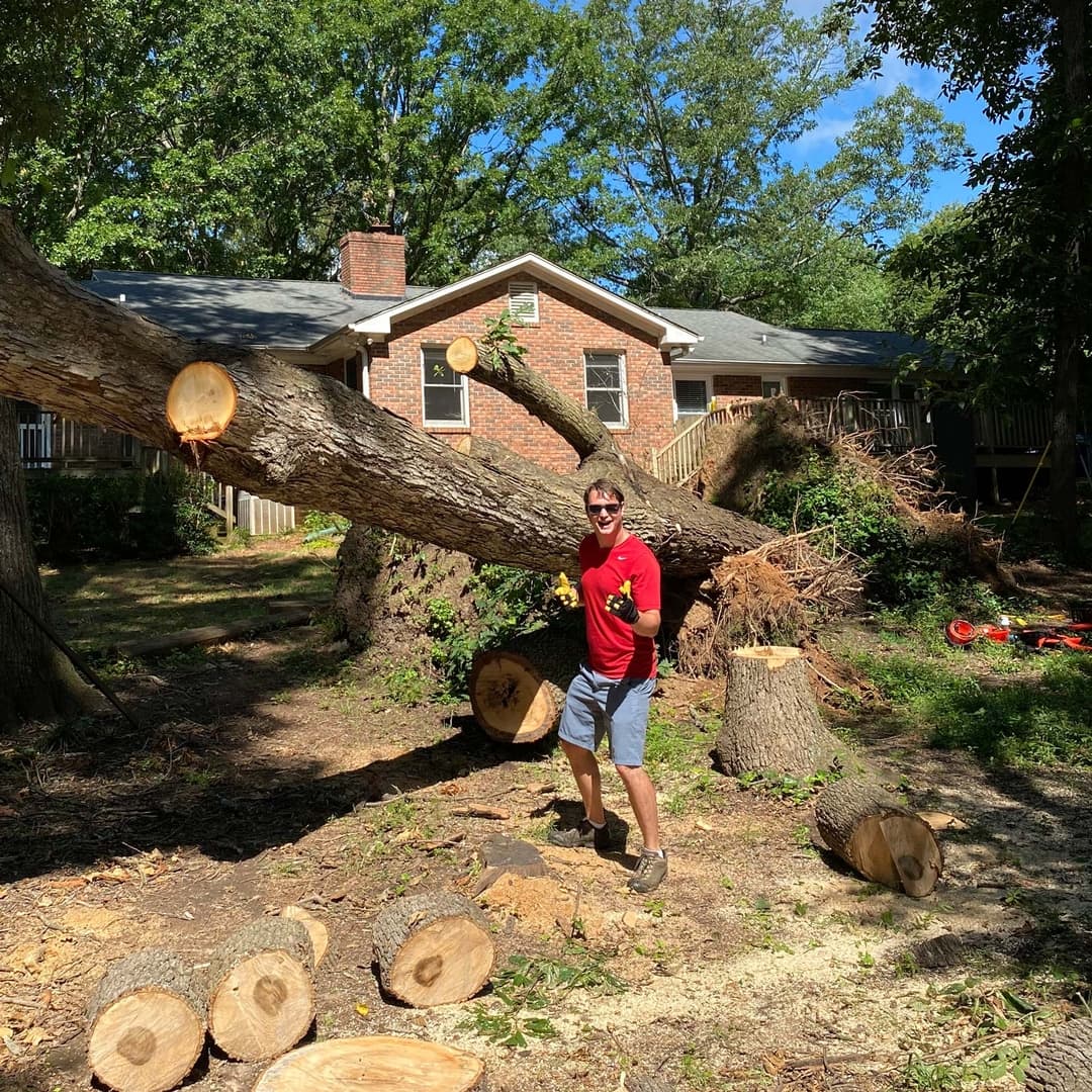 Hub City Tree Company - Business Photo
