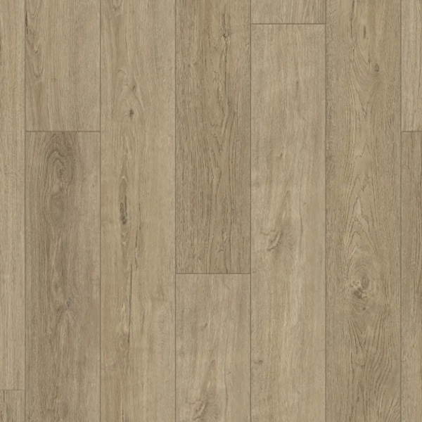 Cumberland Hickory