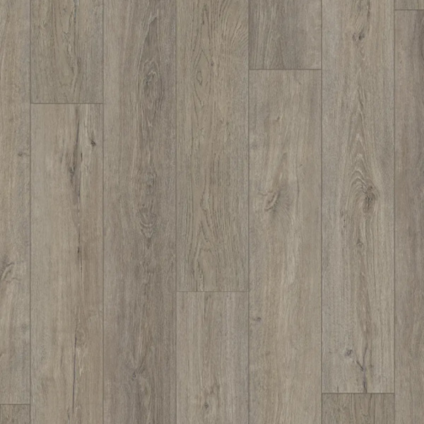 Ocoee Hickory