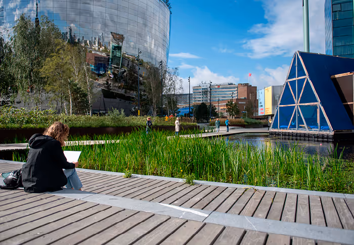 Person sitting on wooden boardwalk drawing near a pond with tall grass, city buildings, and reflective curved glass structure in the background.