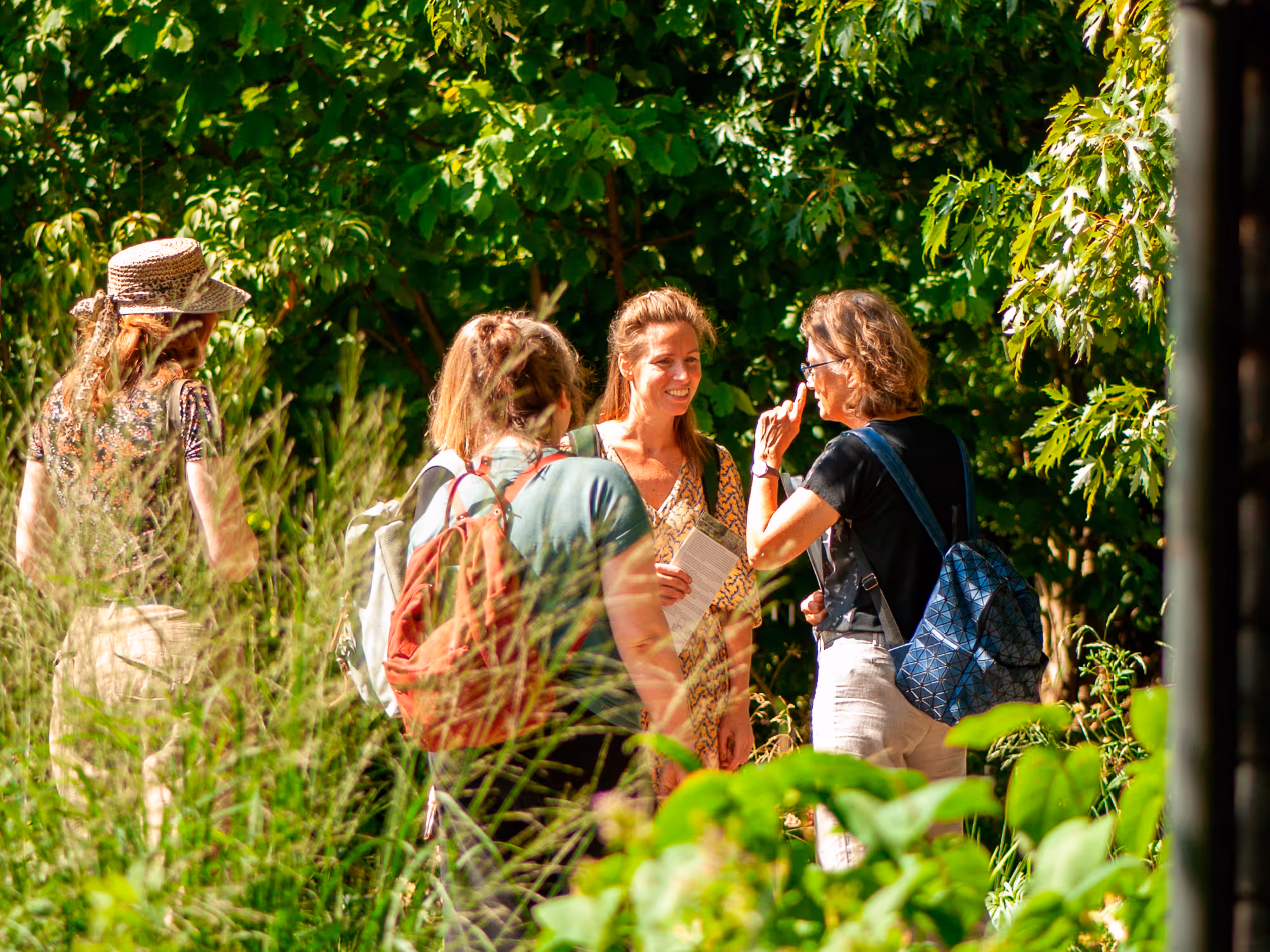 Four women standing outside among greenery, talking and smiling on a sunny day.