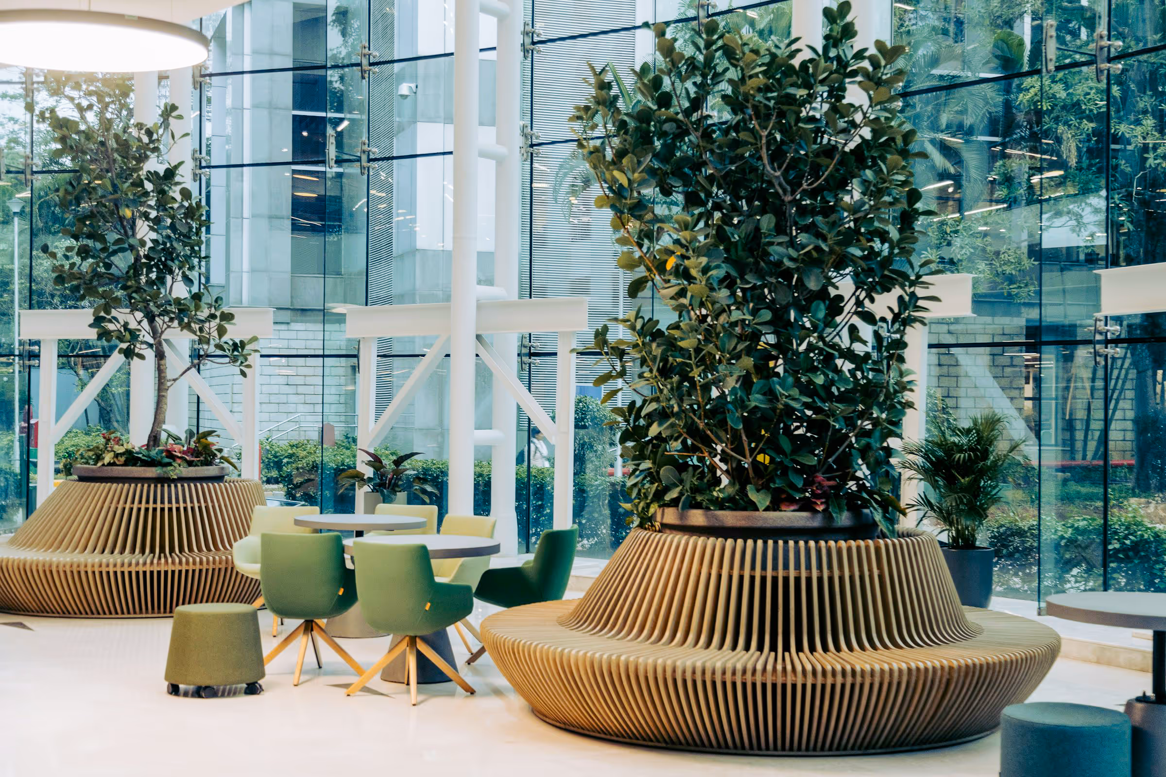 Modern indoor seating area with green chairs, round tables, and large planters with leafy plants near glass walls.