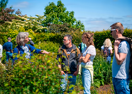 Group of people engaged in conversation outdoors amidst green bushes and trees under a blue sky.