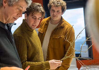 Three men closely examining a small leafy branch indoors near a window.