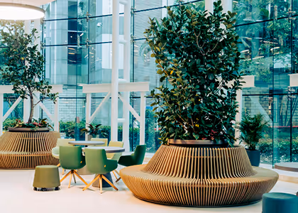 Modern indoor seating area with green chairs and large round wooden planters holding tall leafy plants near glass walls.