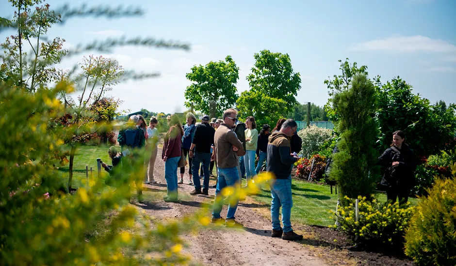 Group of people walking and chatting along a dirt path in a lush garden with trees and shrubs on a sunny day.